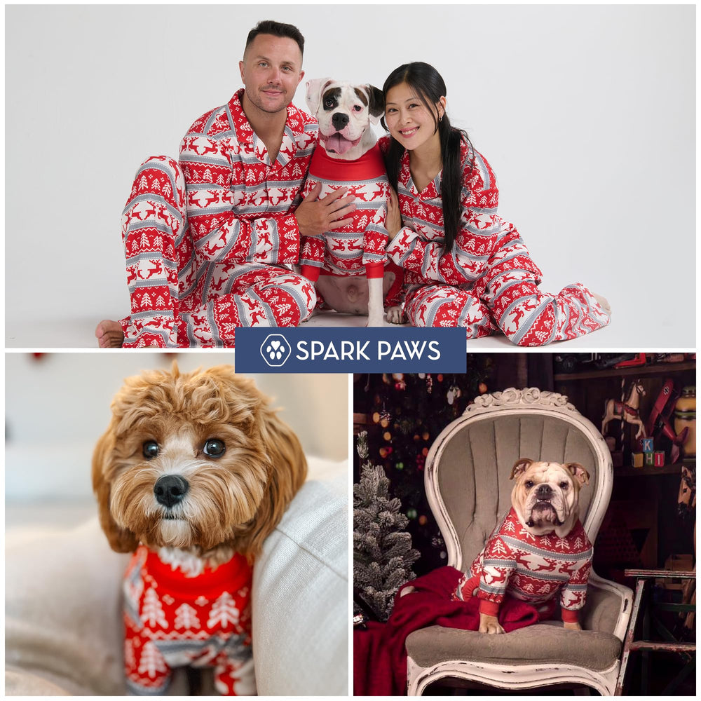 Pijama Spark Paws talla M para perros medianos y grandes.