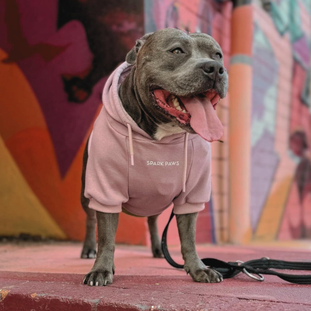 Spark Paws sudadera perro apertura de correa, acceso práctico sin sacrificar estilo.