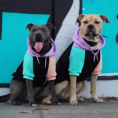 Spark Paws Sudadera con apertura para correa, paseo práctico y seguro.