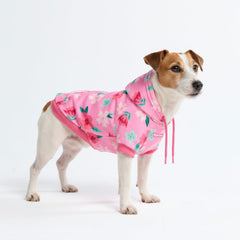 Spark Paws sudadera para perro con confort y libertad de movimiento.