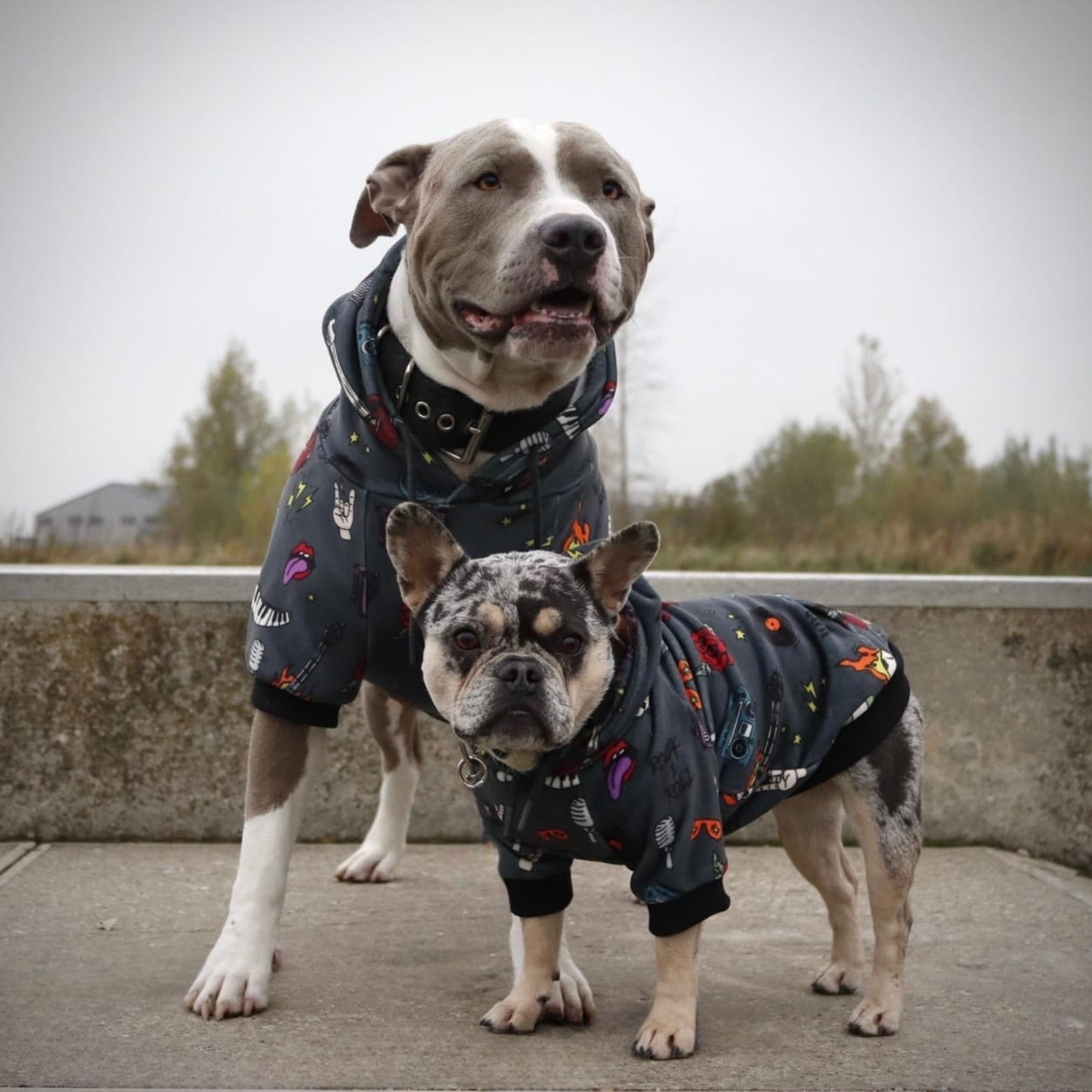 Spark Paws sudadera perro dorso: ajuste cómodo que favorece el movimiento