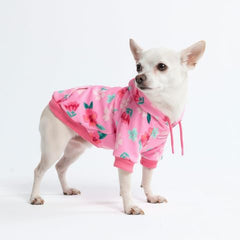 Spark Paws sudadera para perro, tejido elástico mantequilla-extensible.
