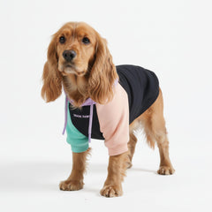 Spark Paws Sudadera para perros, vista frontal, comodidad para paseos diarios.