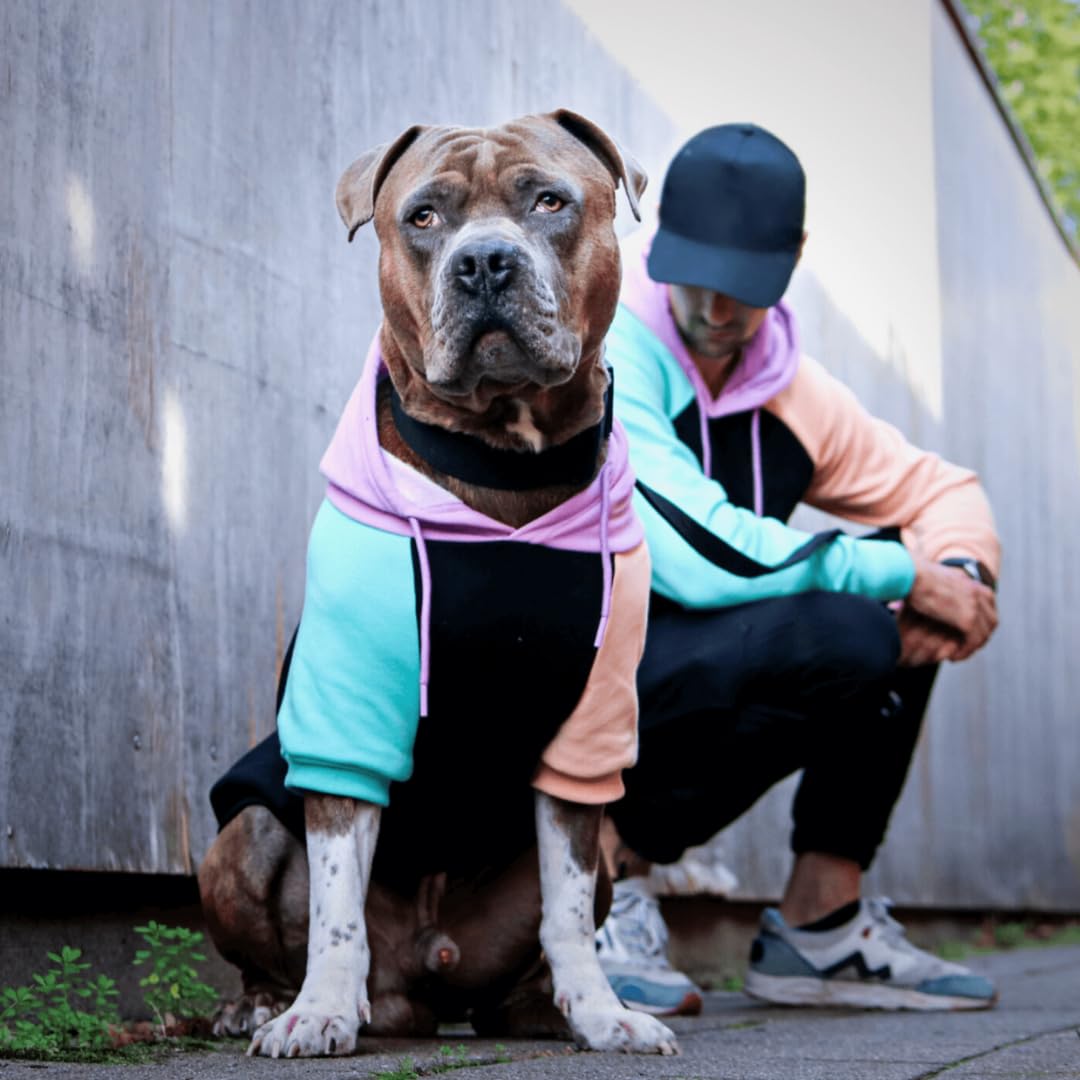 Spark Paws Sudadera para perros talla grande, ideal en clima frío.