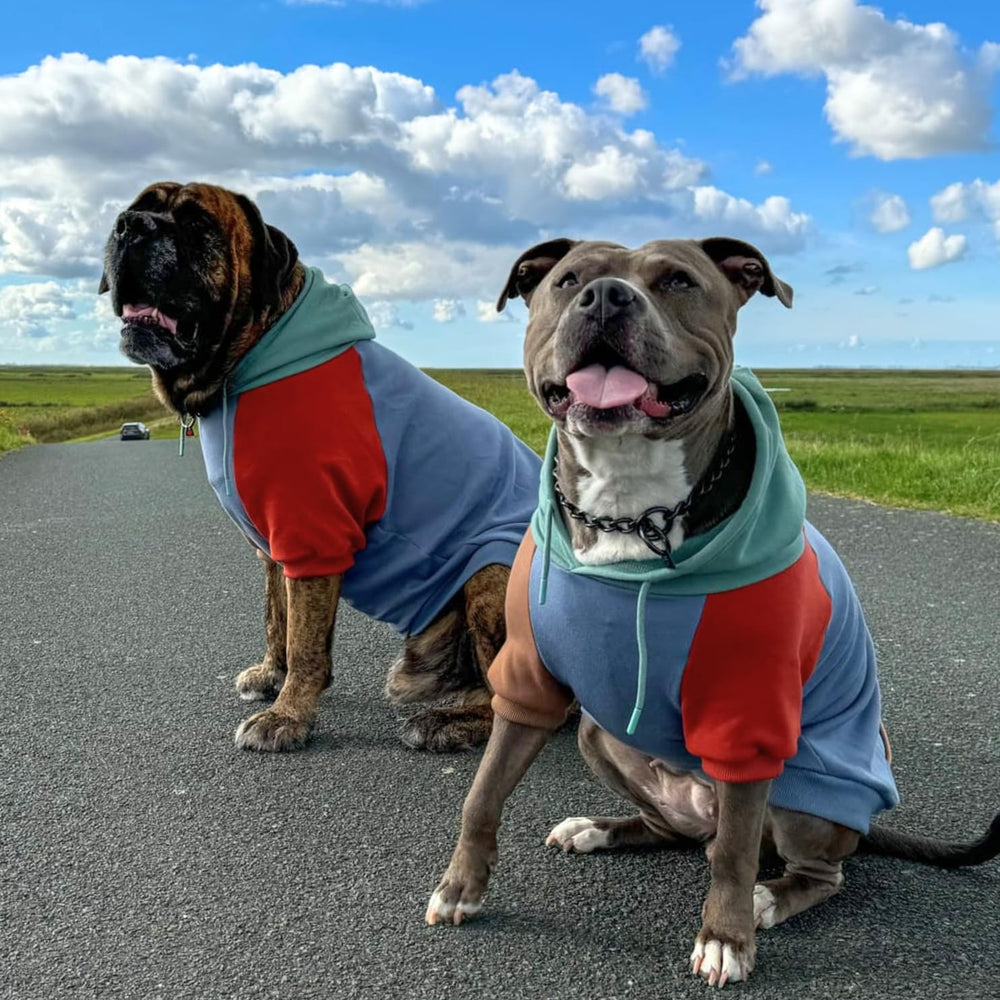 Spark Paws Suéter Alpine, ajuste amplio en pecho, compatible con razas grandes