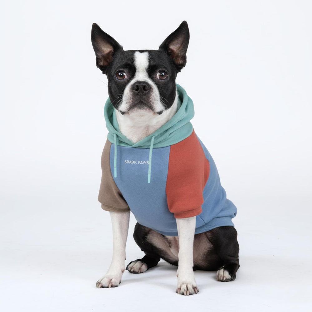 Spark Paws Suéter Alpine, frente, favorece libertad de movimiento durante paseos