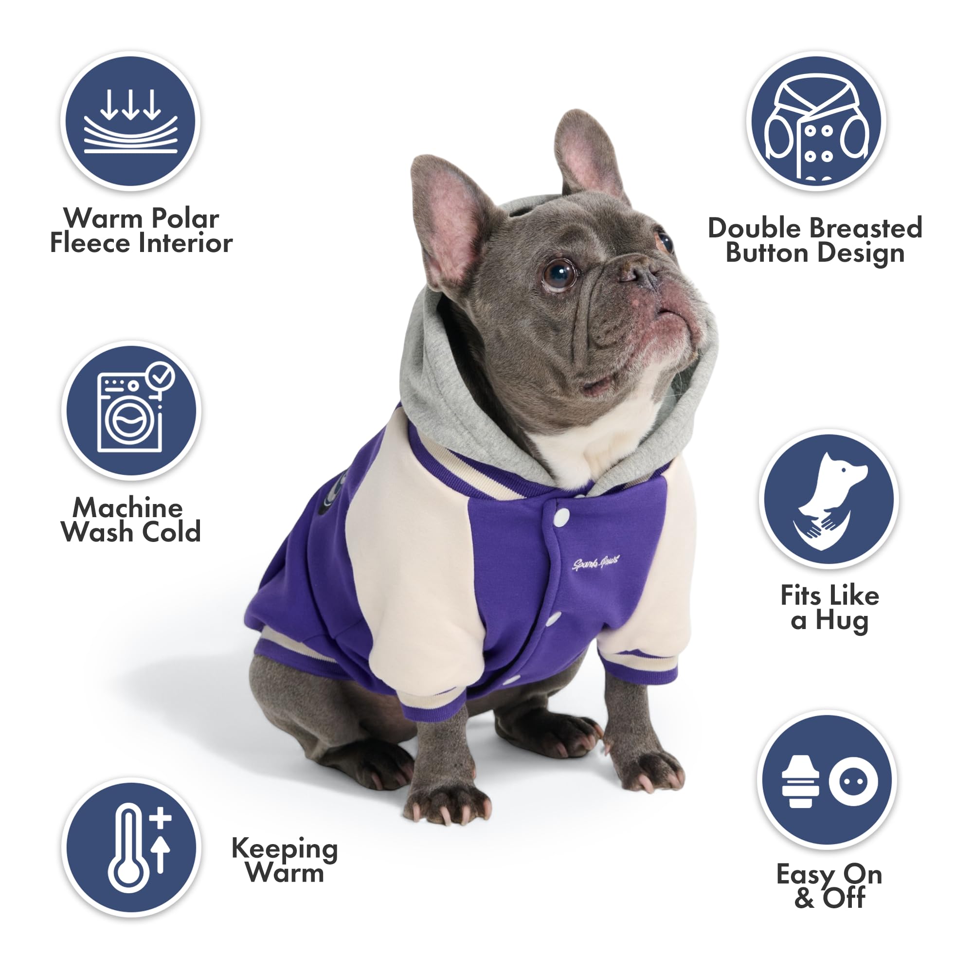 Spark Paws Varsity color violeta que aporta estilo y calidez para días fríos.
