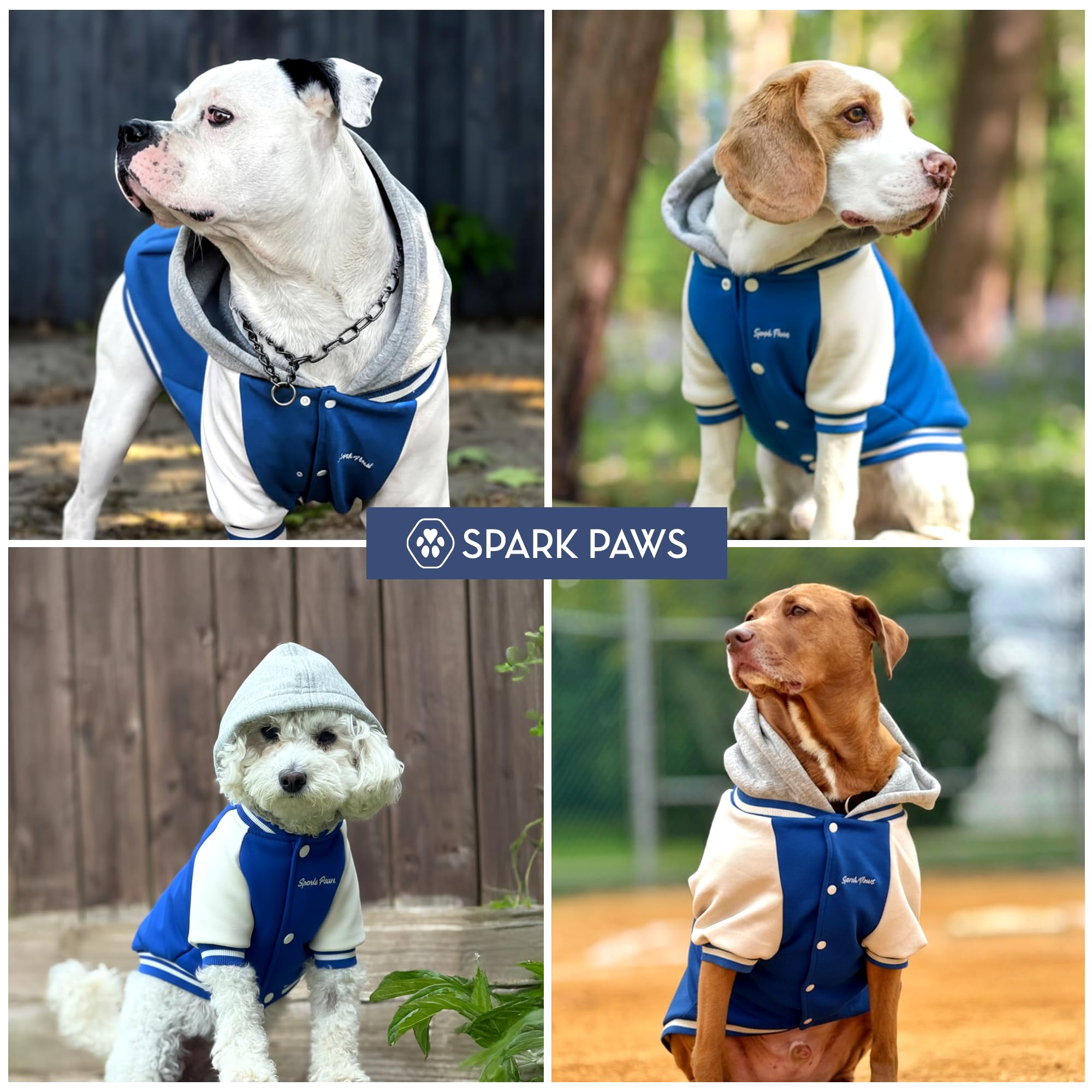 Spark Paws Varsity: ajuste cómodo probado entre tallas para perros.