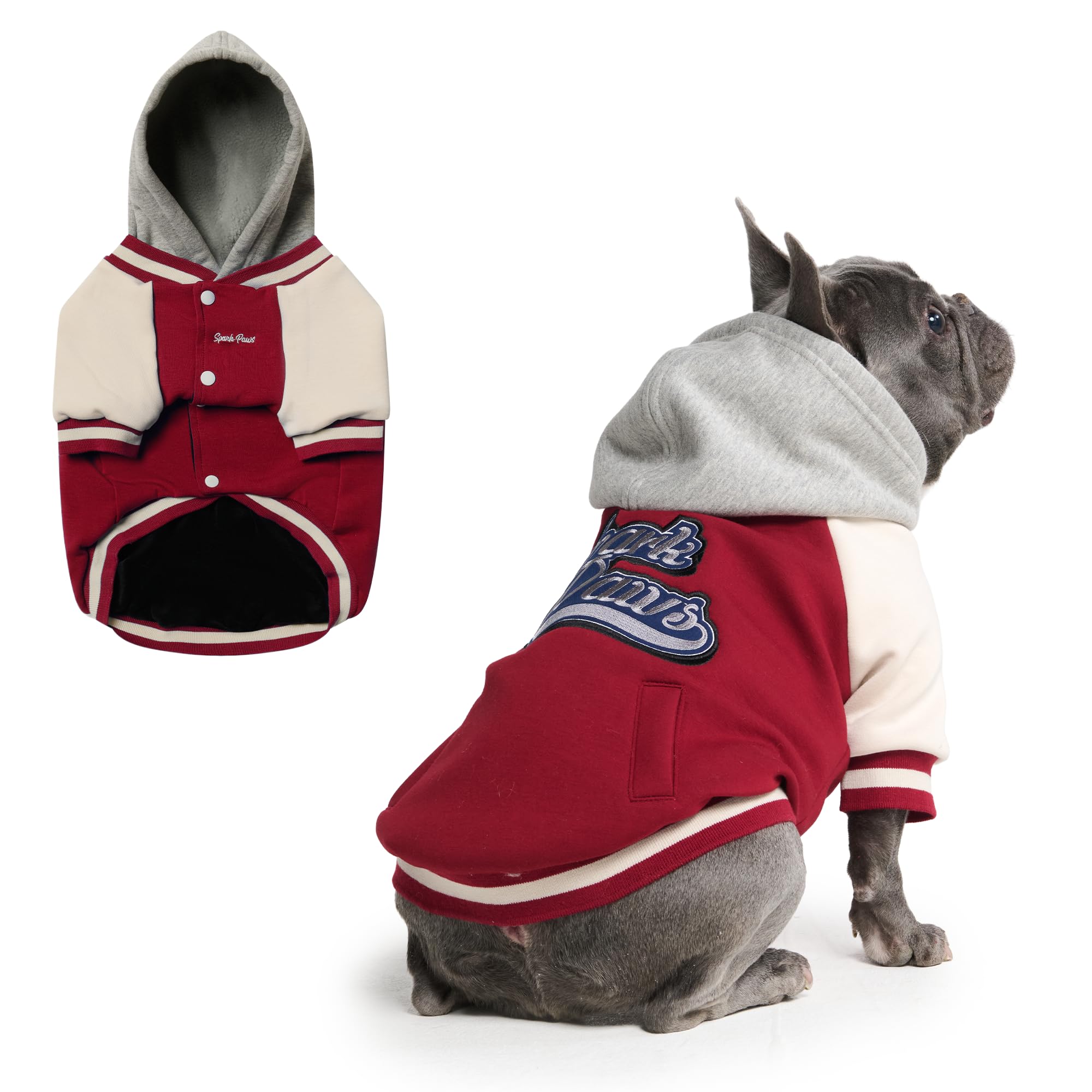 Spark Paws Varsity sudadera para perros, vista frontal, estilo y comodidad para paseos diarios.