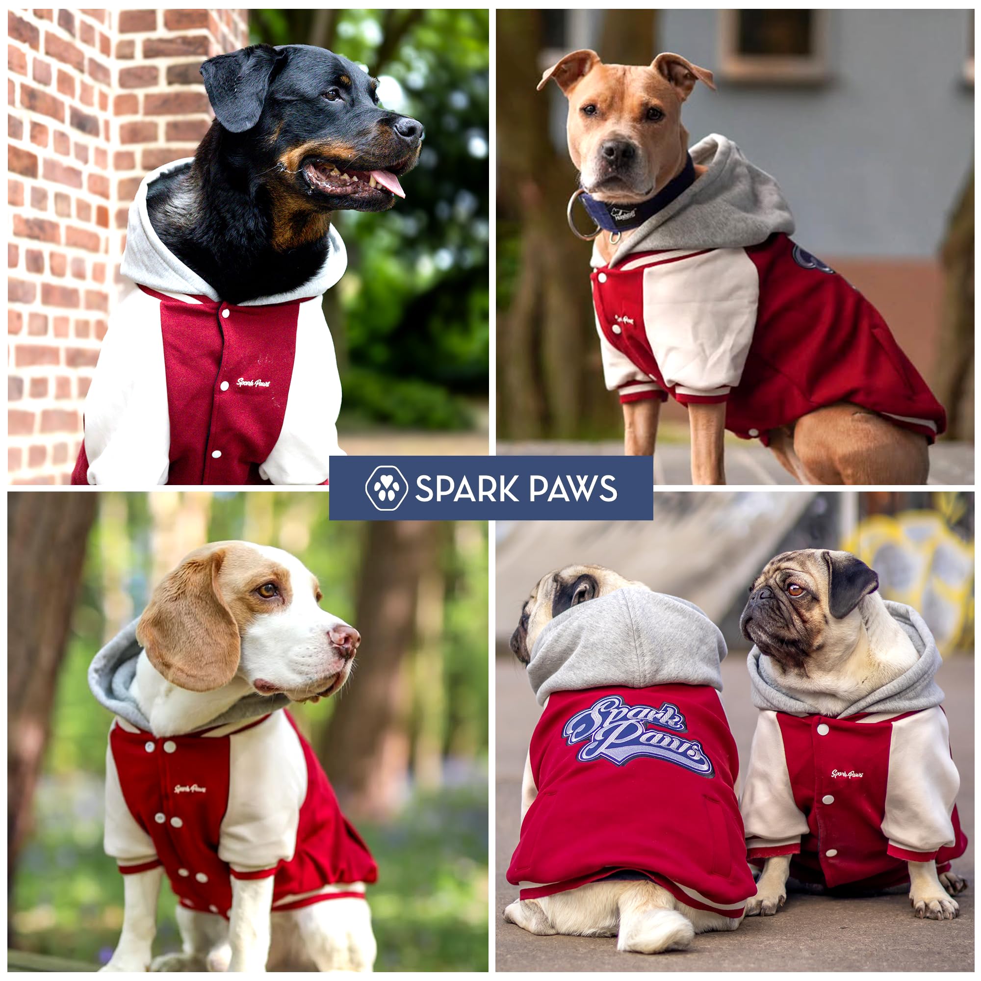Spark Paws Varsity, interior de forro calmante para tranquilidad y calor ligero.