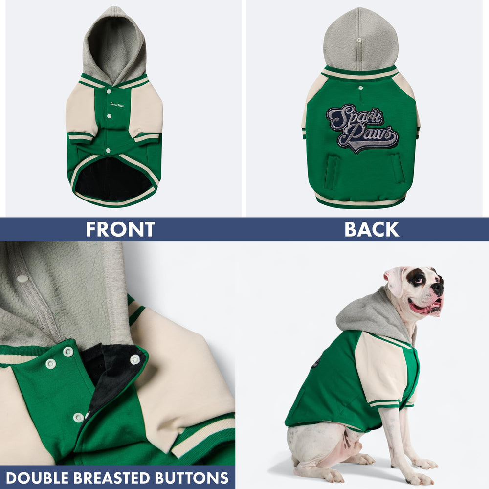 Spark Paws Varsity Sweater: acabado verde con estilo sobrio para días fríos.
