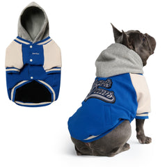 Spark Paws Varsity Sweater frente: ajuste cómodo para paseos diarios en clima frío