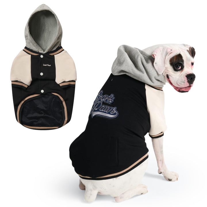 Spark Paws Varsity Sweater: vista frontal, ajuste cómodo para el día a día.