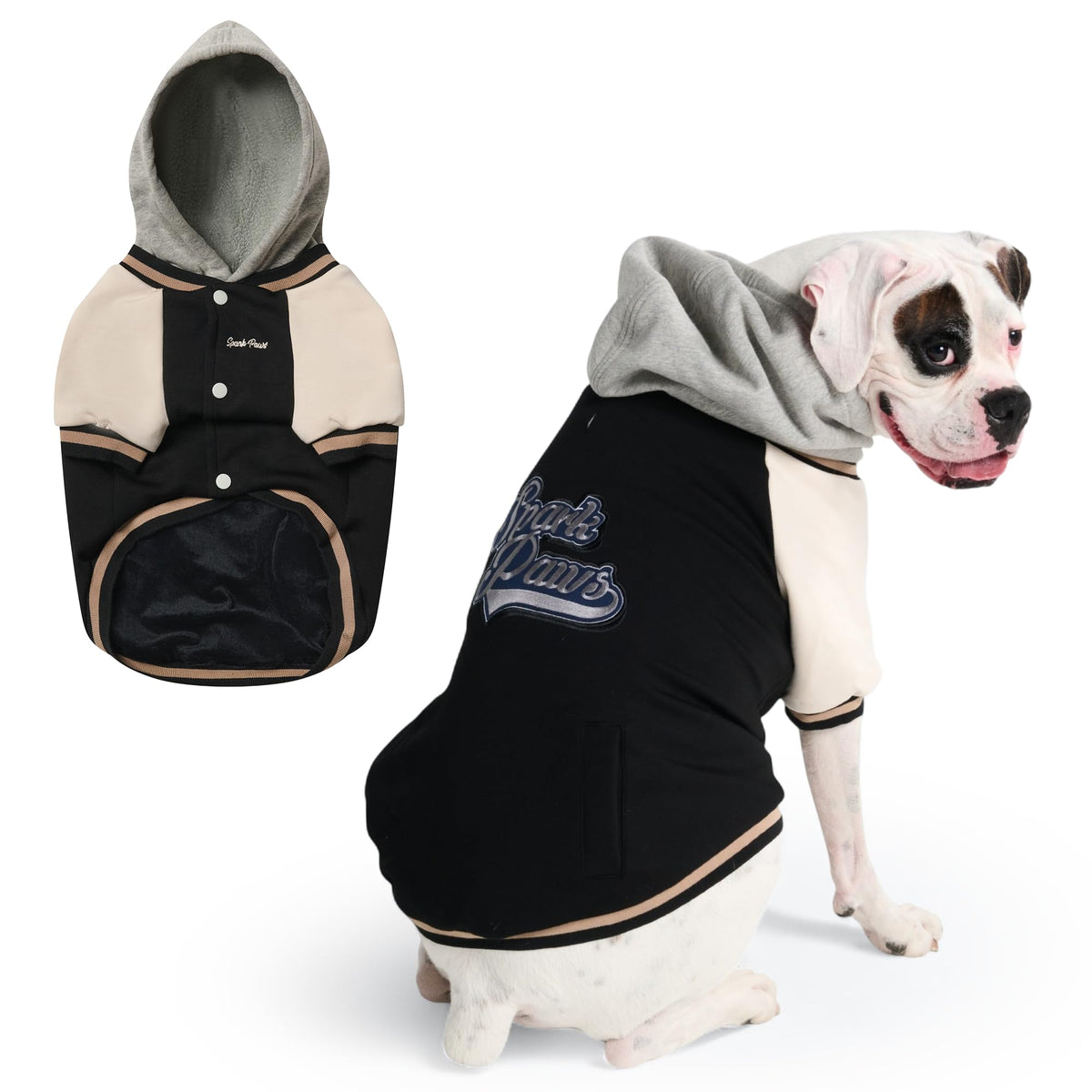 Spark Paws Varsity Sweater: vista frontal, ajuste cómodo para el día a día.
