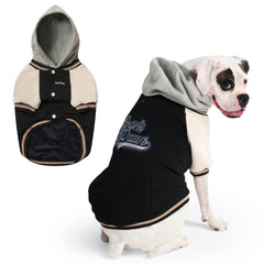 Spark Paws Varsity Sweater: vista frontal, ajuste cómodo para el día a día.