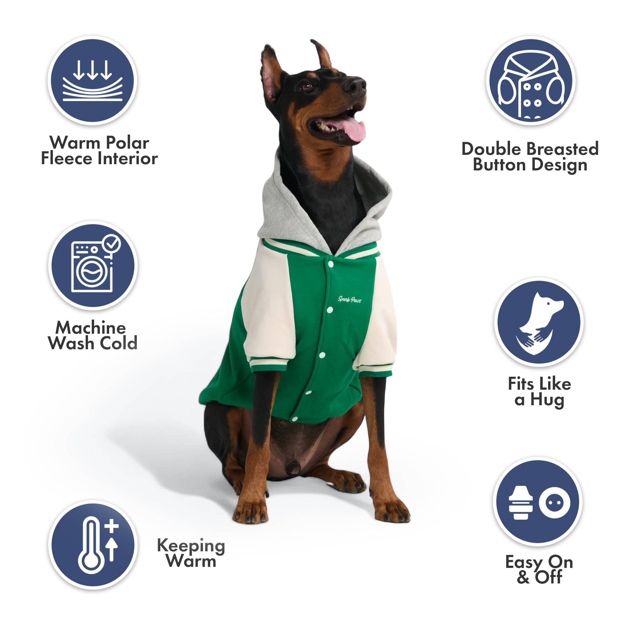Spark Paws Varsity Sweater: tejido de espuma espacial para uso diario duradero.
