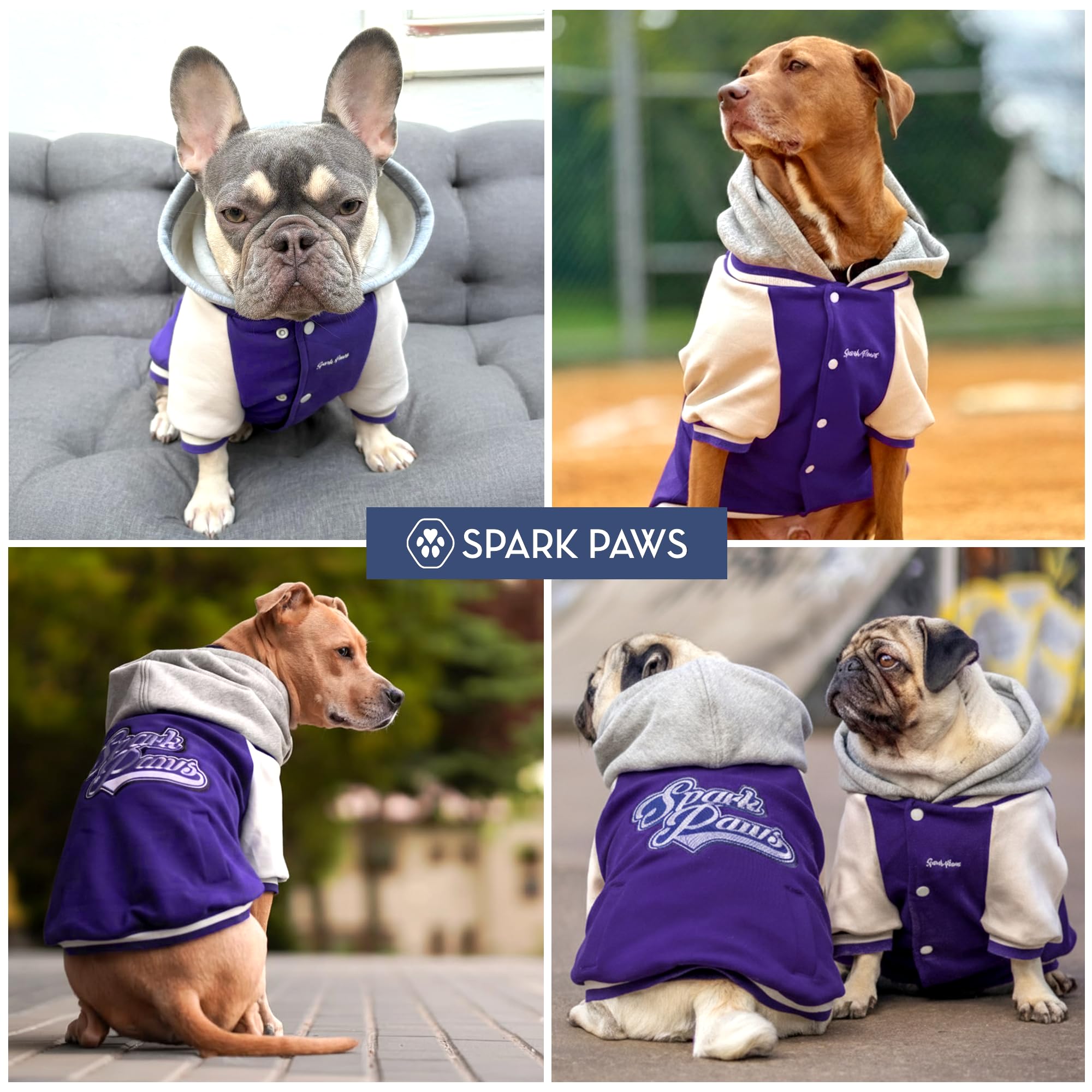 Spark Paws Varsity uso diario, ideal para paseos y visitas al parque.
