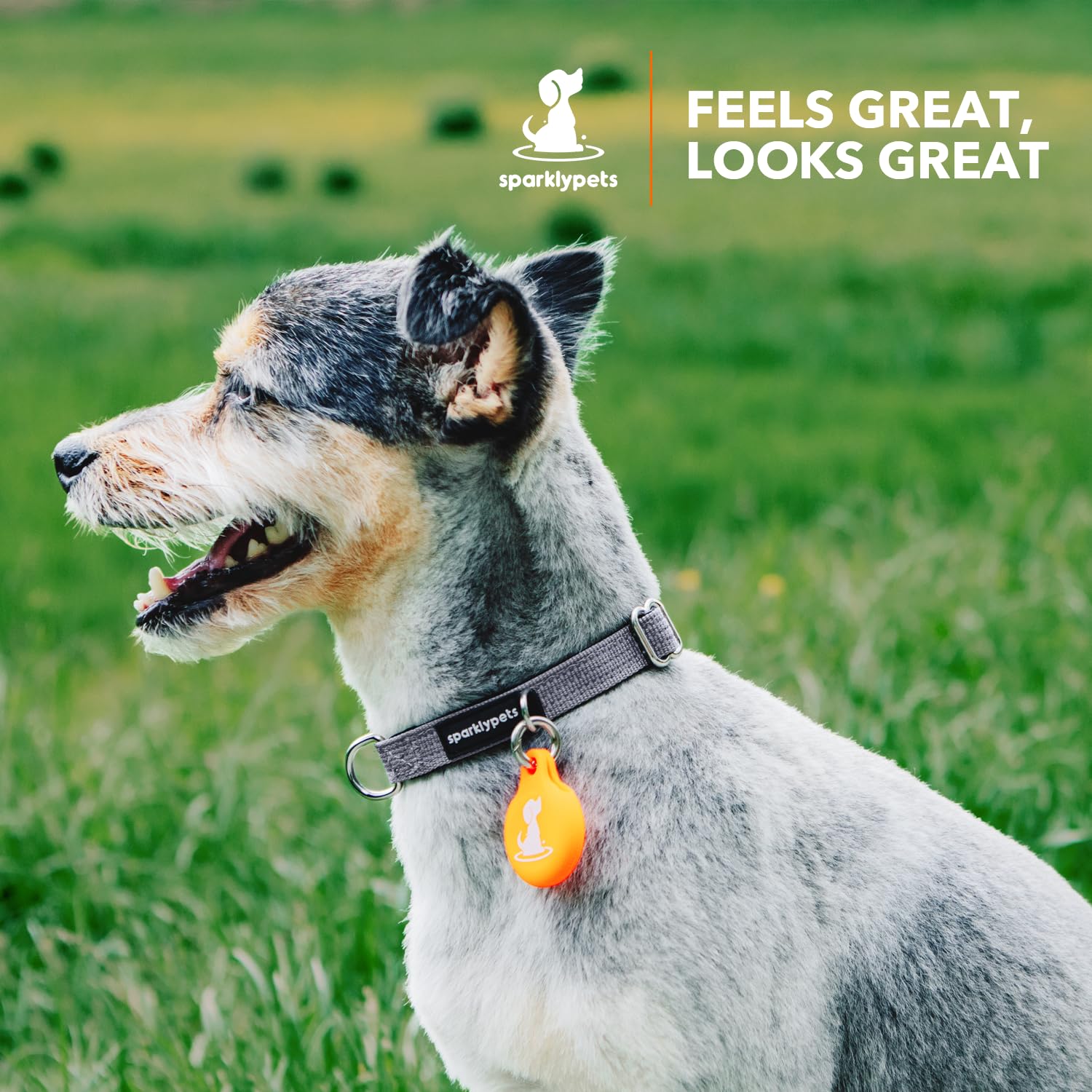 SparklyPets collar extra pequeño, diseño resistente para perros activos.