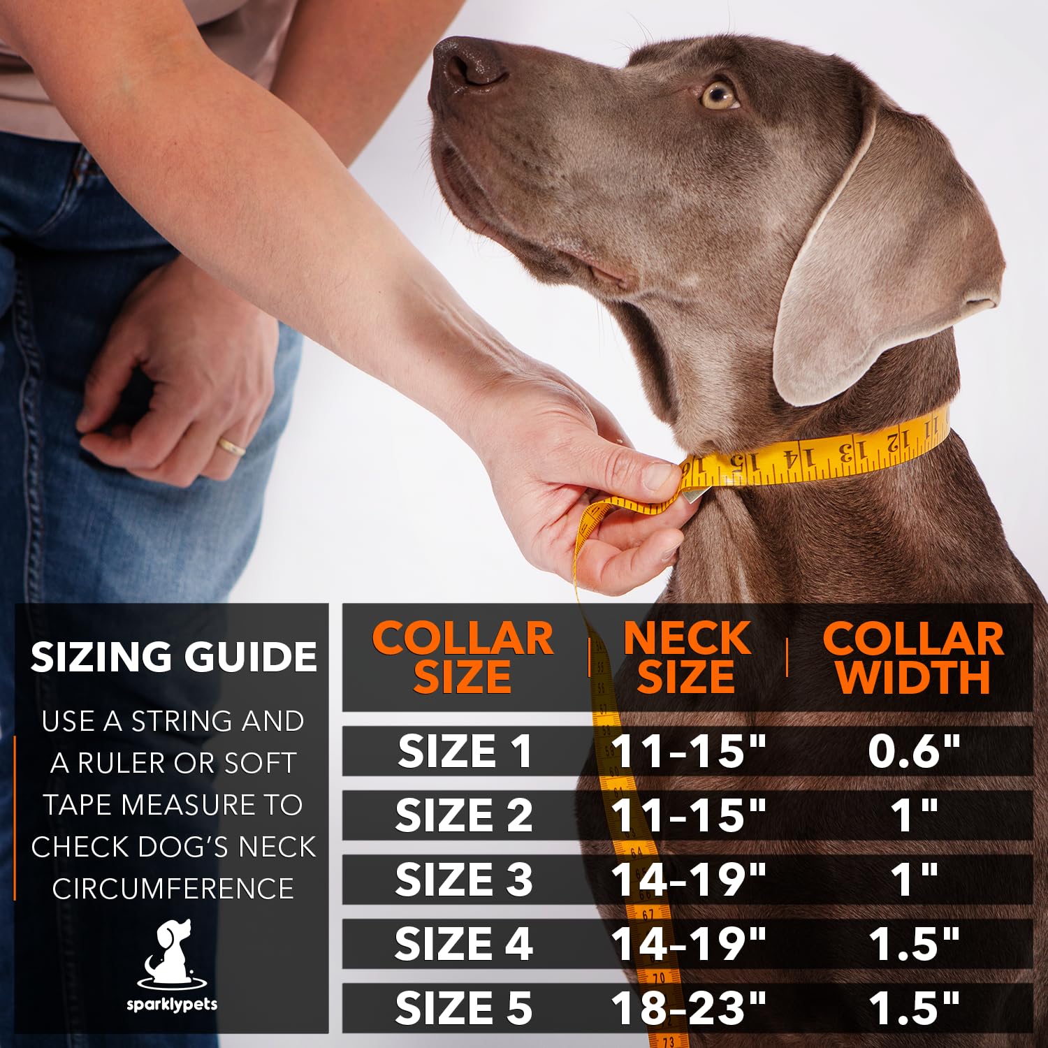 SparklyPets collar perro interior acolchado suave para mayor confort.