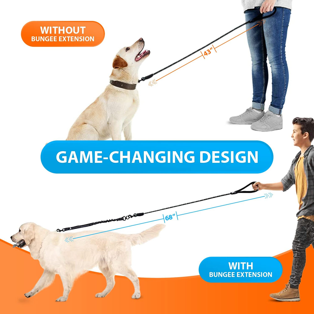 SparklyPets correa con bungee absorbe impacto ideal para perros en paseo activo.