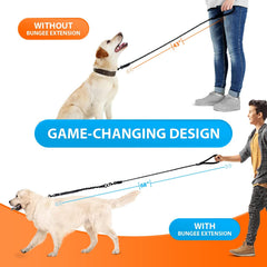SparklyPets correa con bungee absorbe impacto ideal para perros en paseo activo.