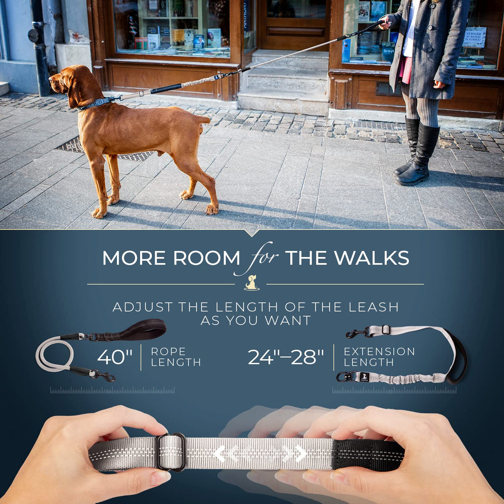 SparklyPets correa para perros grandes, ideal para caminar con tirones moderados.