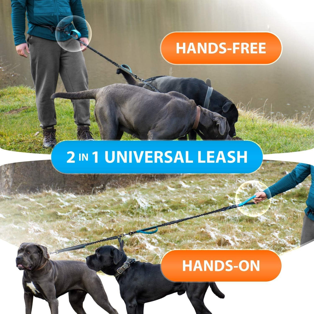 SparklyPets correa doble con costuras reflectivas para paseos nocturnos.