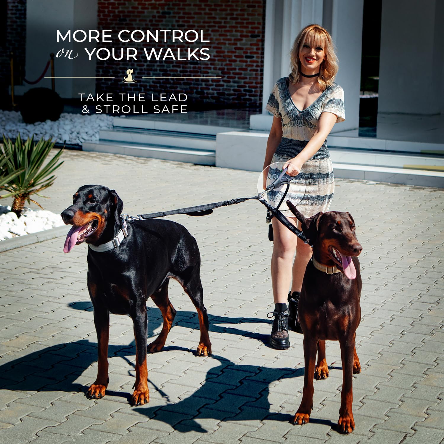SparklyPets Rotacion 360, evita enredos y mejora el control.
