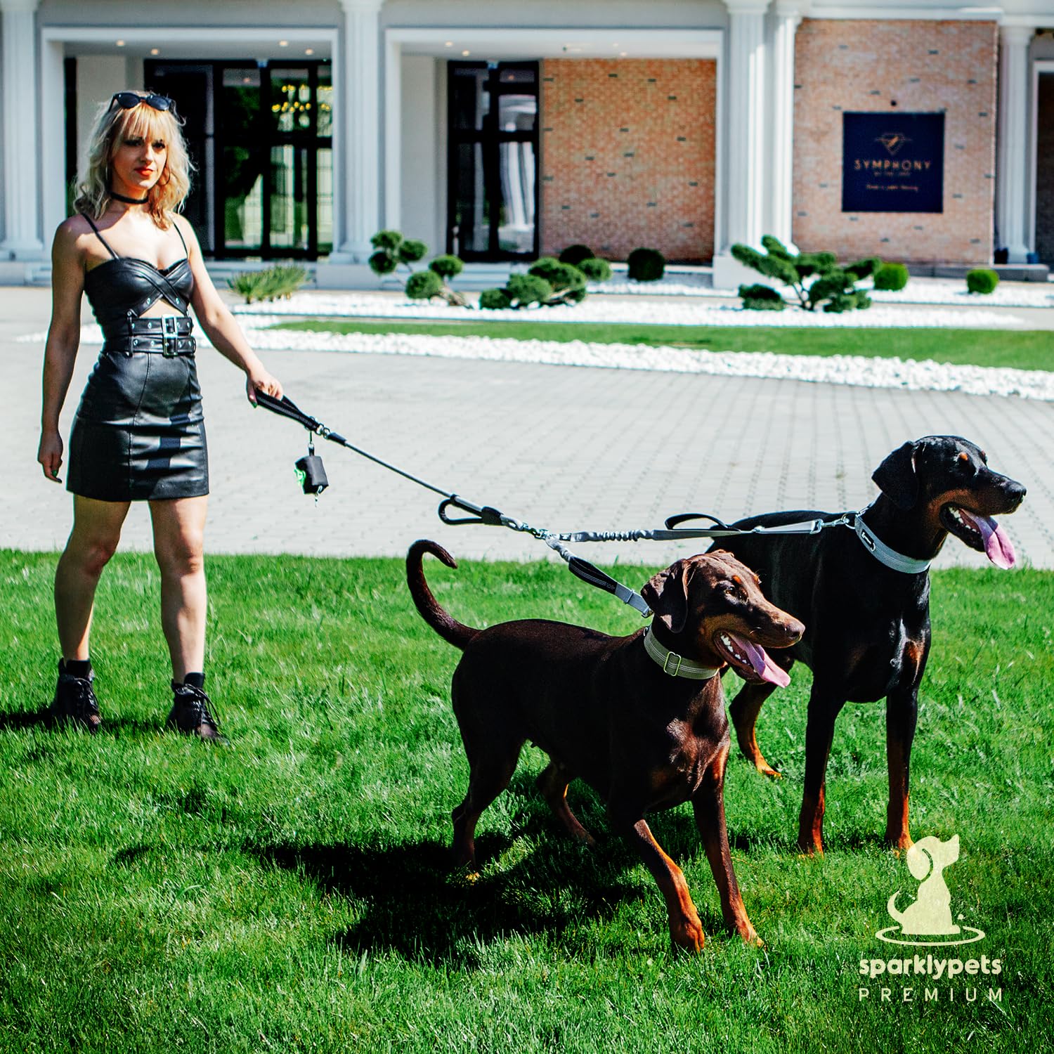 SparklyPets mangos ergonómicos y acolchados para control cómodo al pasear
