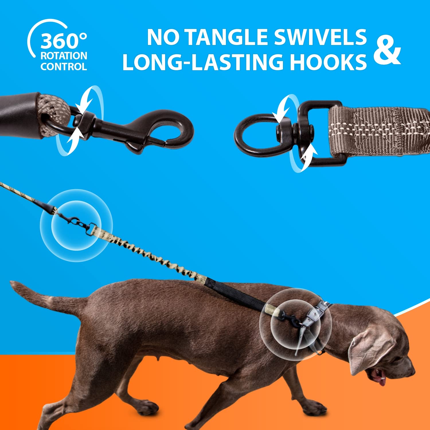 SparklyPets uso exterior, ideal para salidas al aire libre con perros.