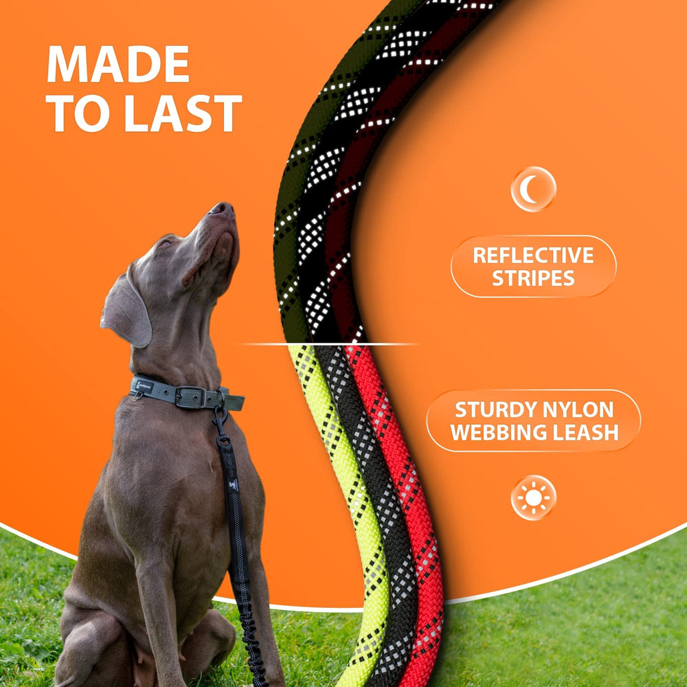 SparklyPets uso exterior para perros grandes durante caminatas
