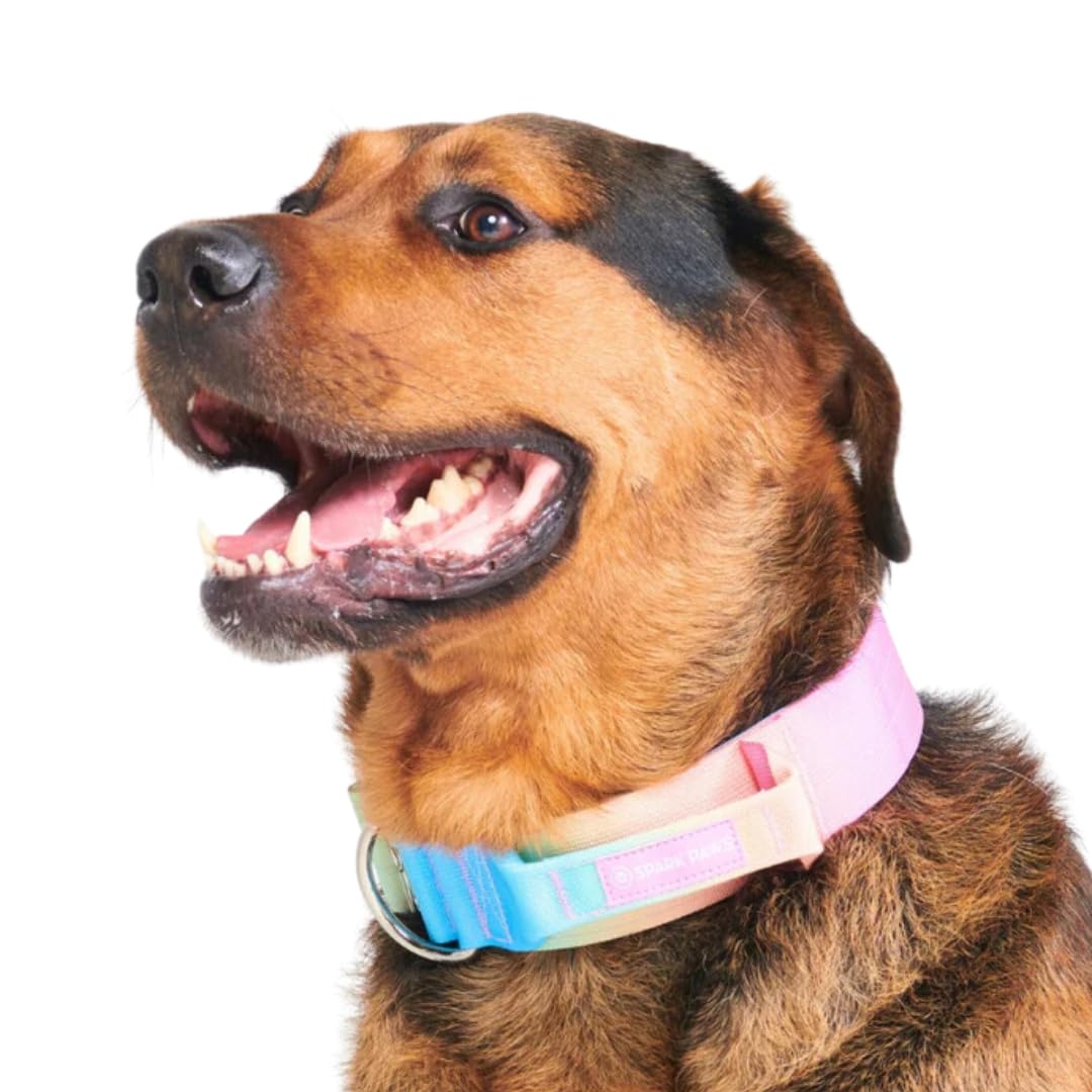 Spark Paws collar premium de nylon resistente para aventuras largas.