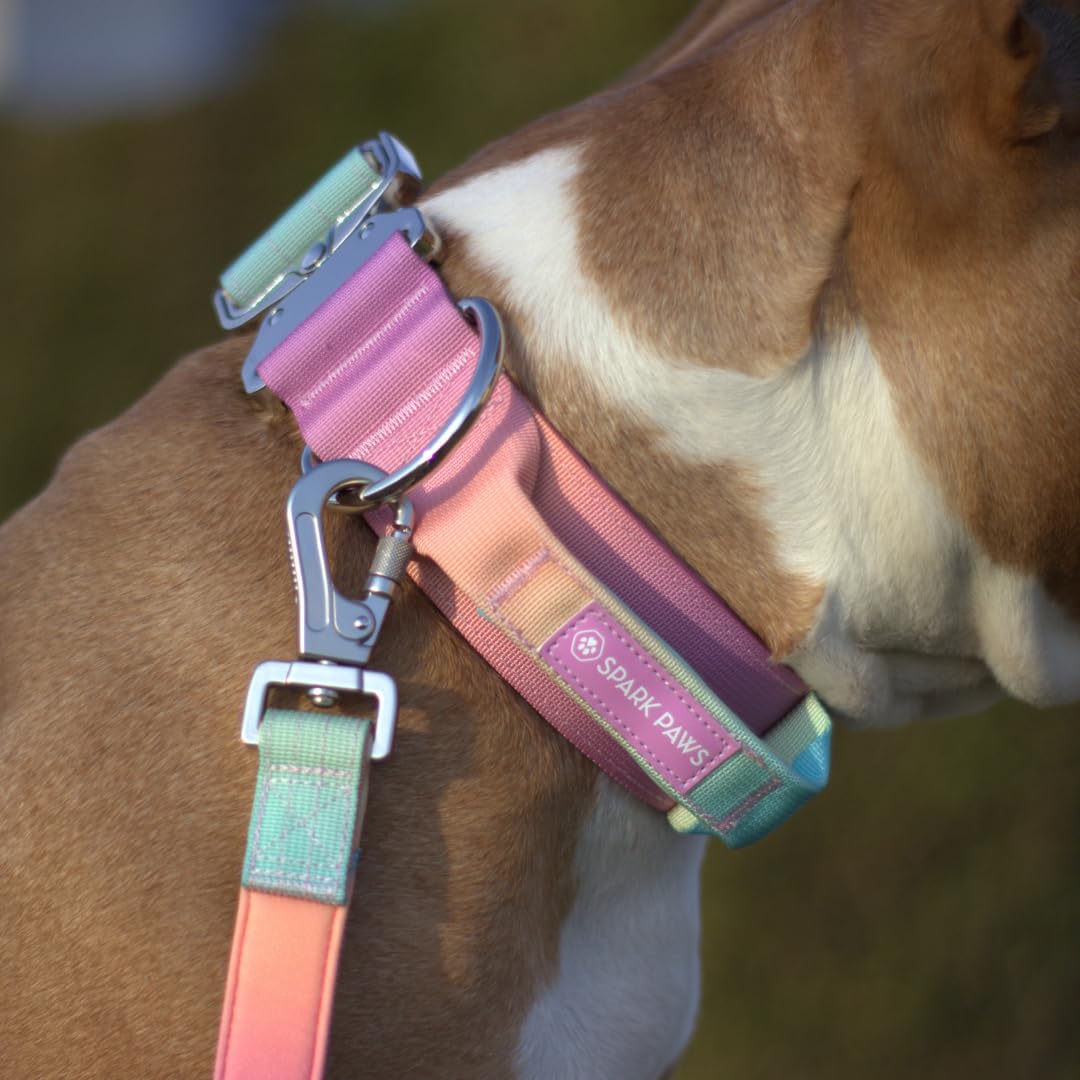 Spark Paws collar con refuerzo de nylon y forro de neopreno para comodidad.