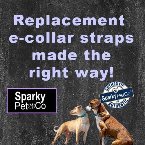 Sparky Pet Co Apollo: resistente al agua para playa y lluvia
