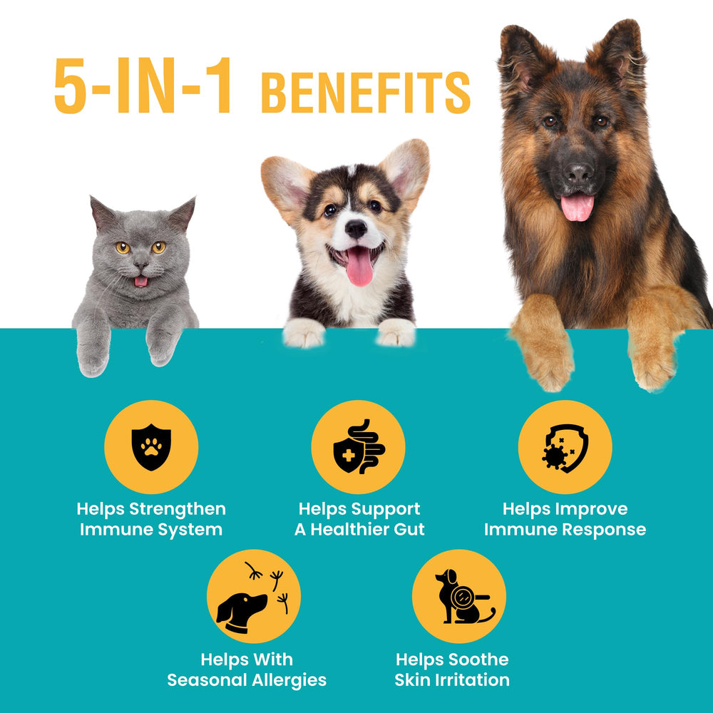 Aplicación diaria de Special Breed Allergy & Immune para gatos y perros.