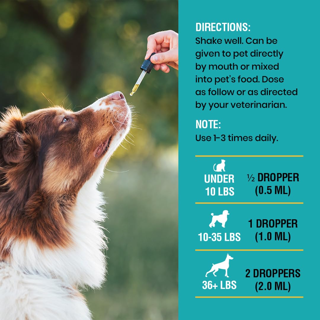 Extracto de sauco en Special Breed Allergy & Immune para apoyo inmunológico.