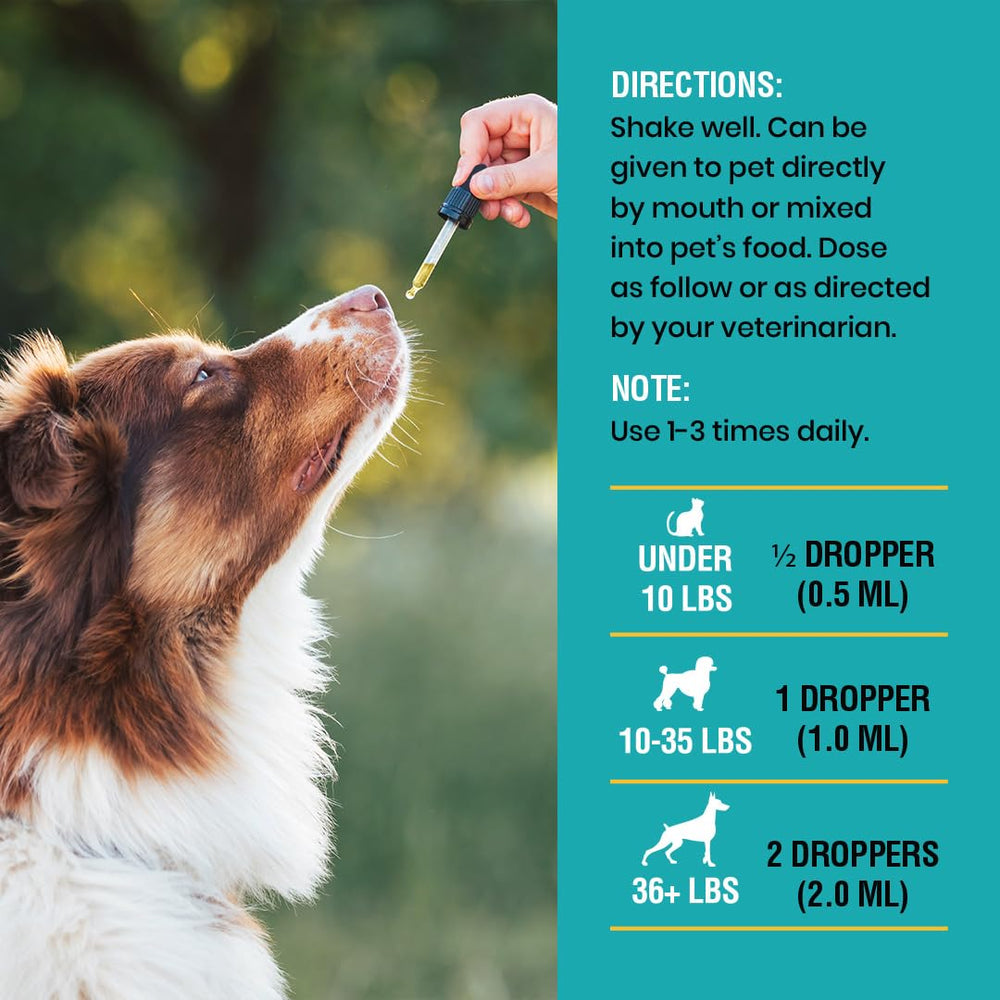 Extracto de sauco en Special Breed Allergy & Immune para apoyo inmunológico.