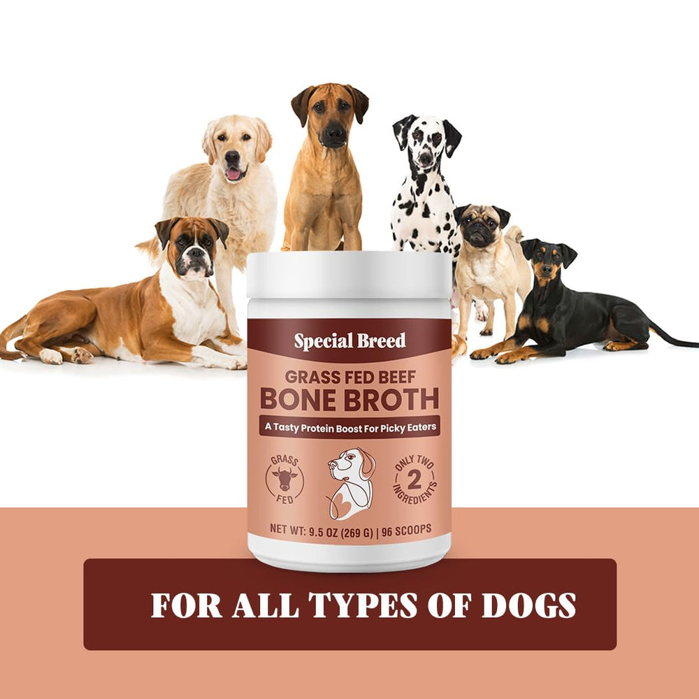 Special Breed dosis diaria de caldo de huesos para perros