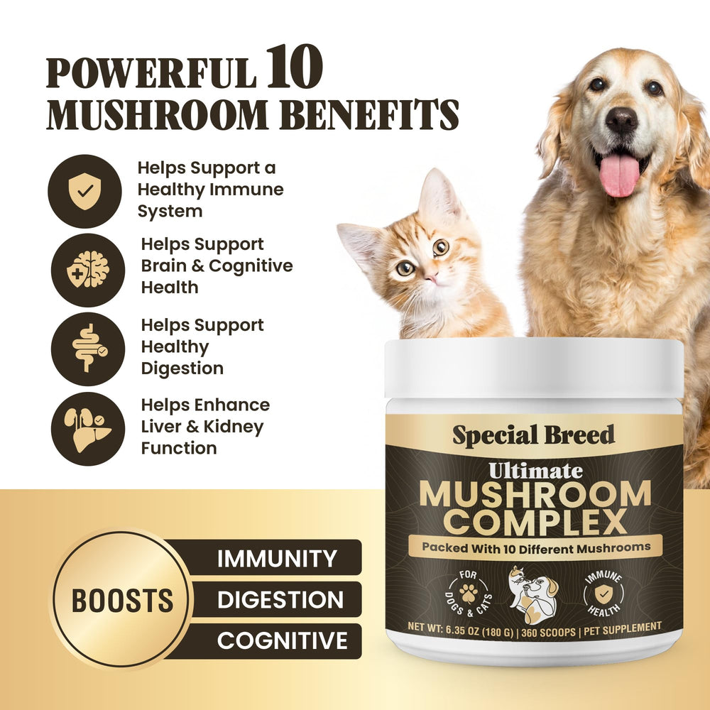 Special Breed dosis por porción para perros y gatos, medición precisa.