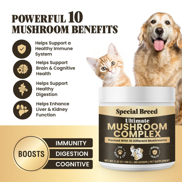 Special Breed dosis por porción para perros y gatos, medición precisa.