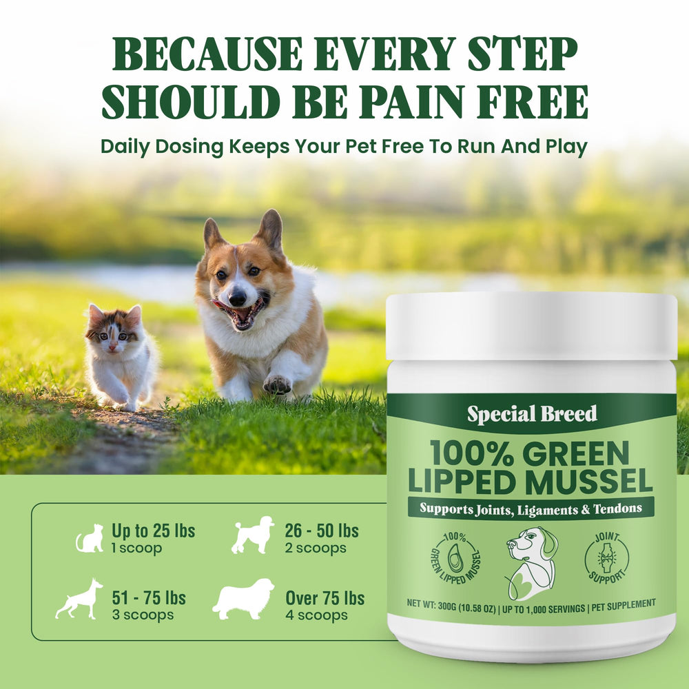 Special Breed mezcla alimento mejillón verde, complemento natural para mascotas activas.