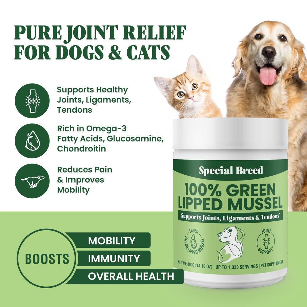 Special Breed mejillón verde para perros: se mezcla fácilmente en la comida para un día activo.