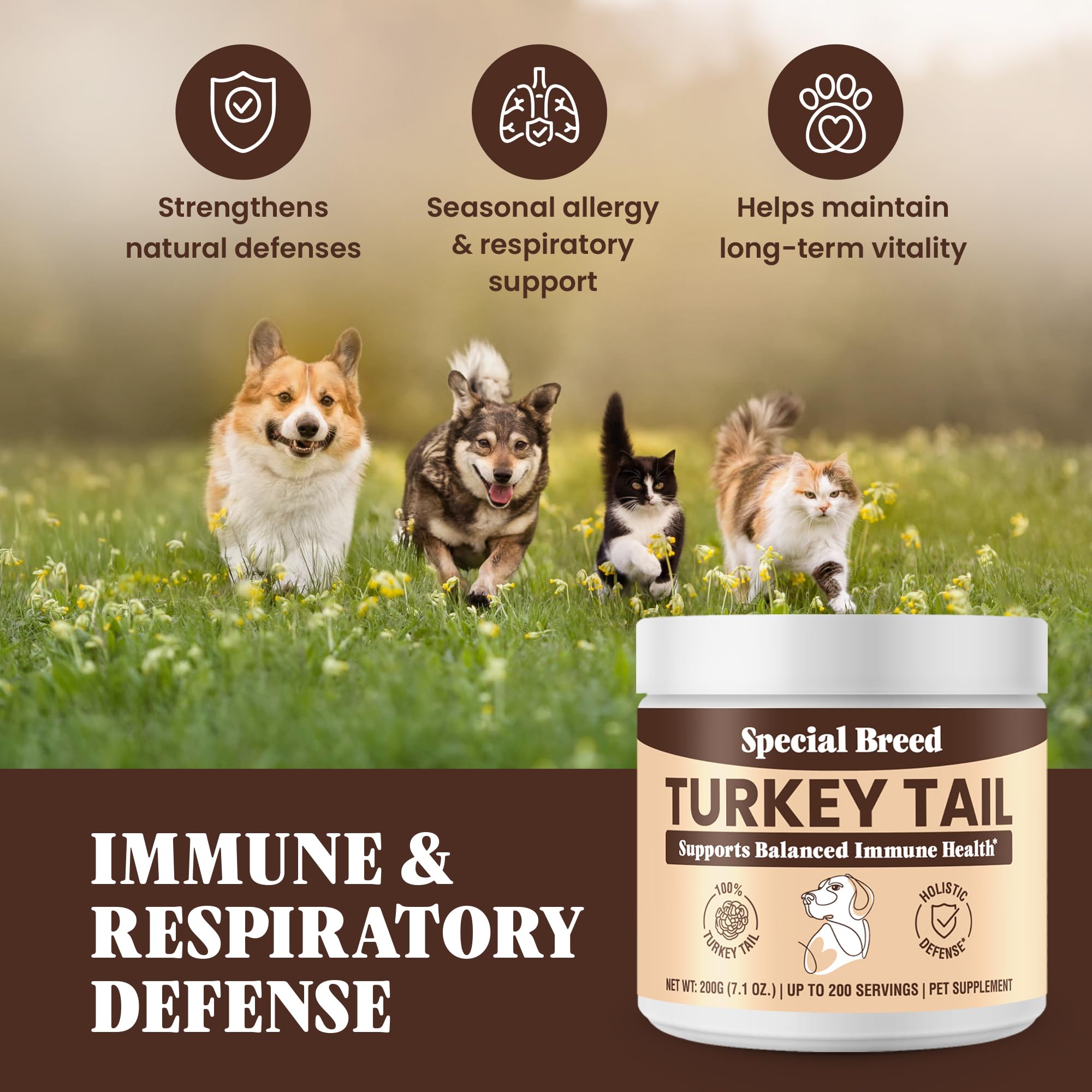 Mezcla fácil de Special Breed con la comida de mascotas