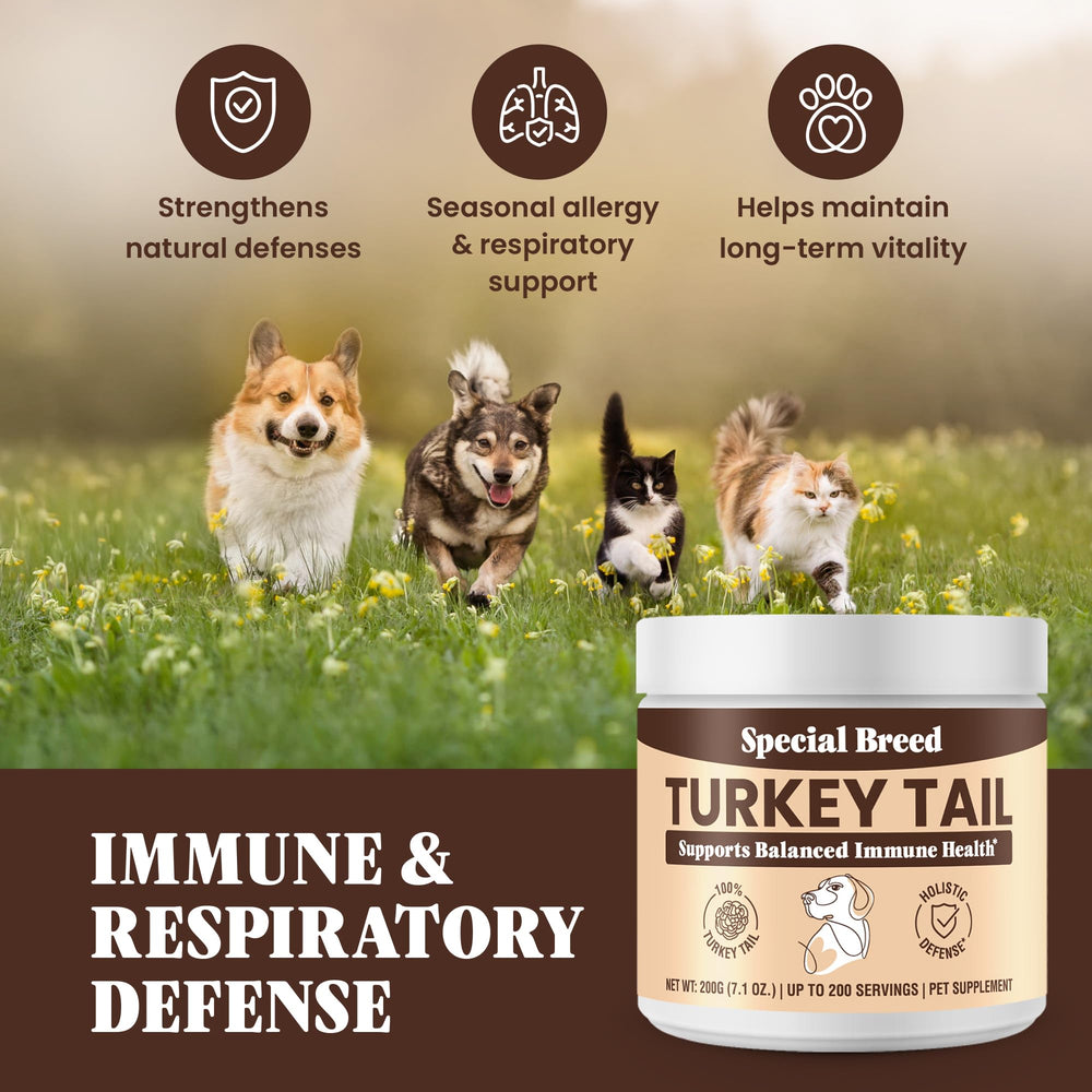 Mezcla fácil de Special Breed con la comida de mascotas