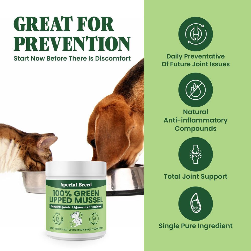 Special Breed polvo para mezclar con alimento diario