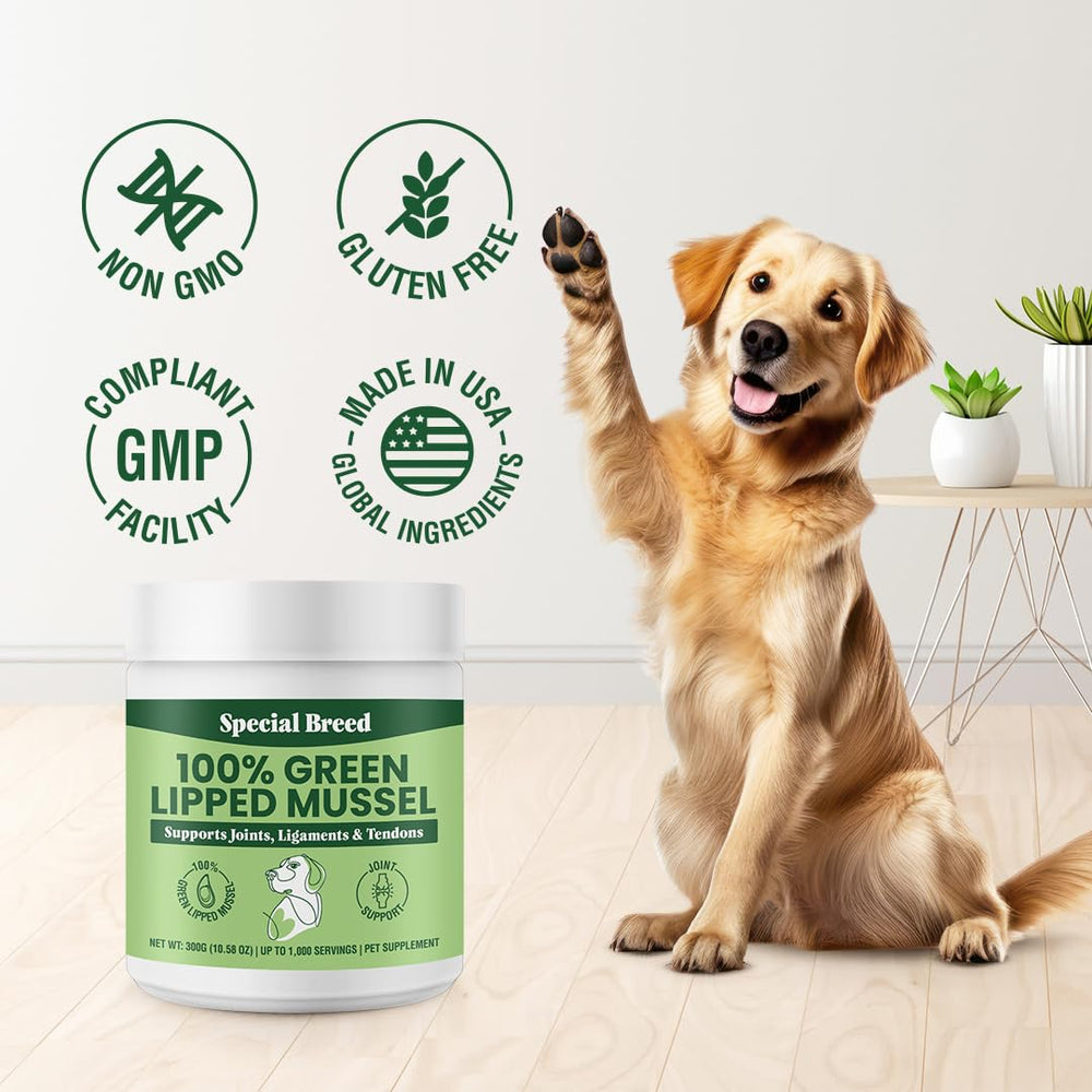 Special Breed plato con perros y gatos, mejillón verde para articulaciones.