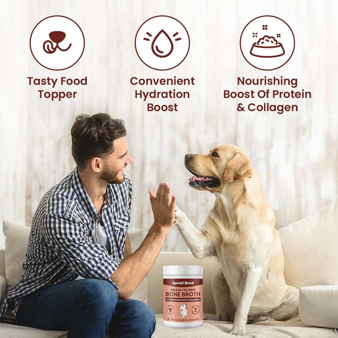Special Breed envase de polvo, ideal para porciones y almacenamiento