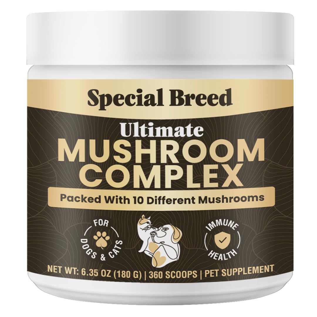 Special Breed polvo de hongos para perros y gatos en bote, fácil de usar.