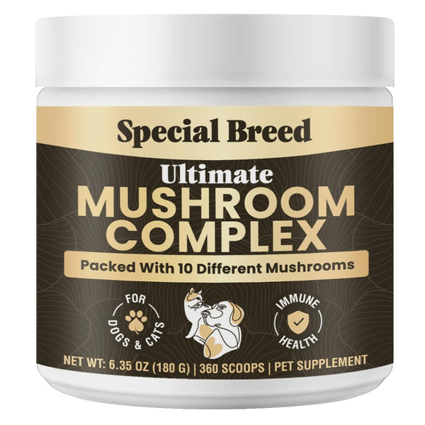 Special Breed polvo de hongos para perros y gatos en bote, fácil de usar.
