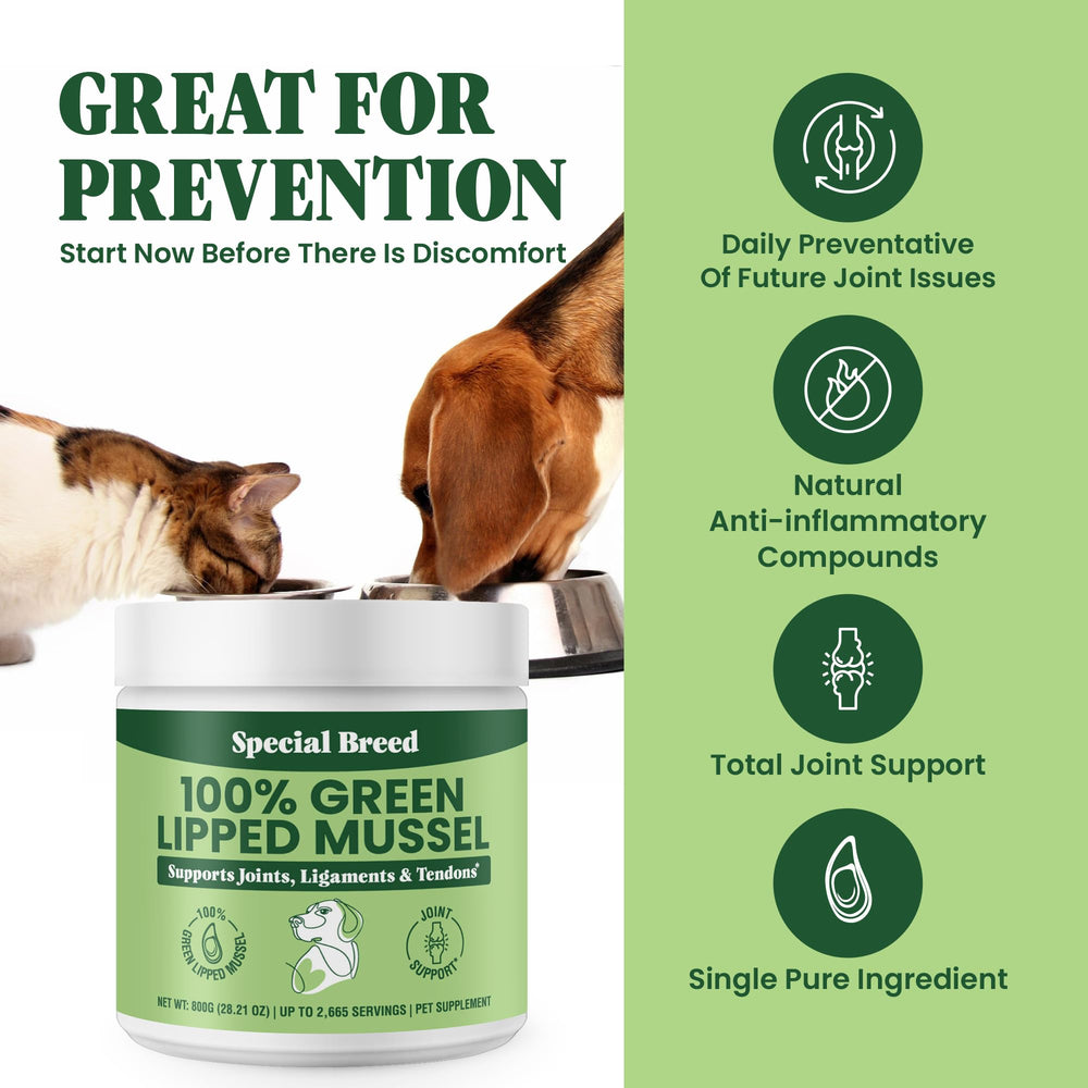 Mejillón de labios verdes Special Breed, mezcla sencilla con comida para perros y gatos.